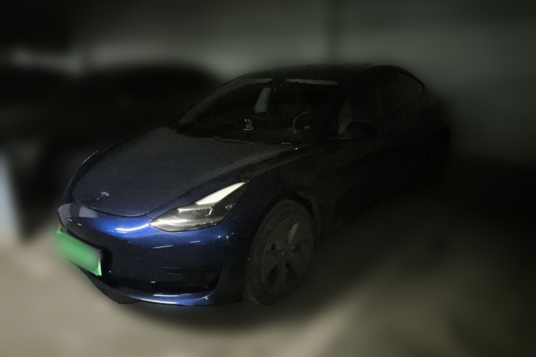 Tesla Model 3 2021 car image #2