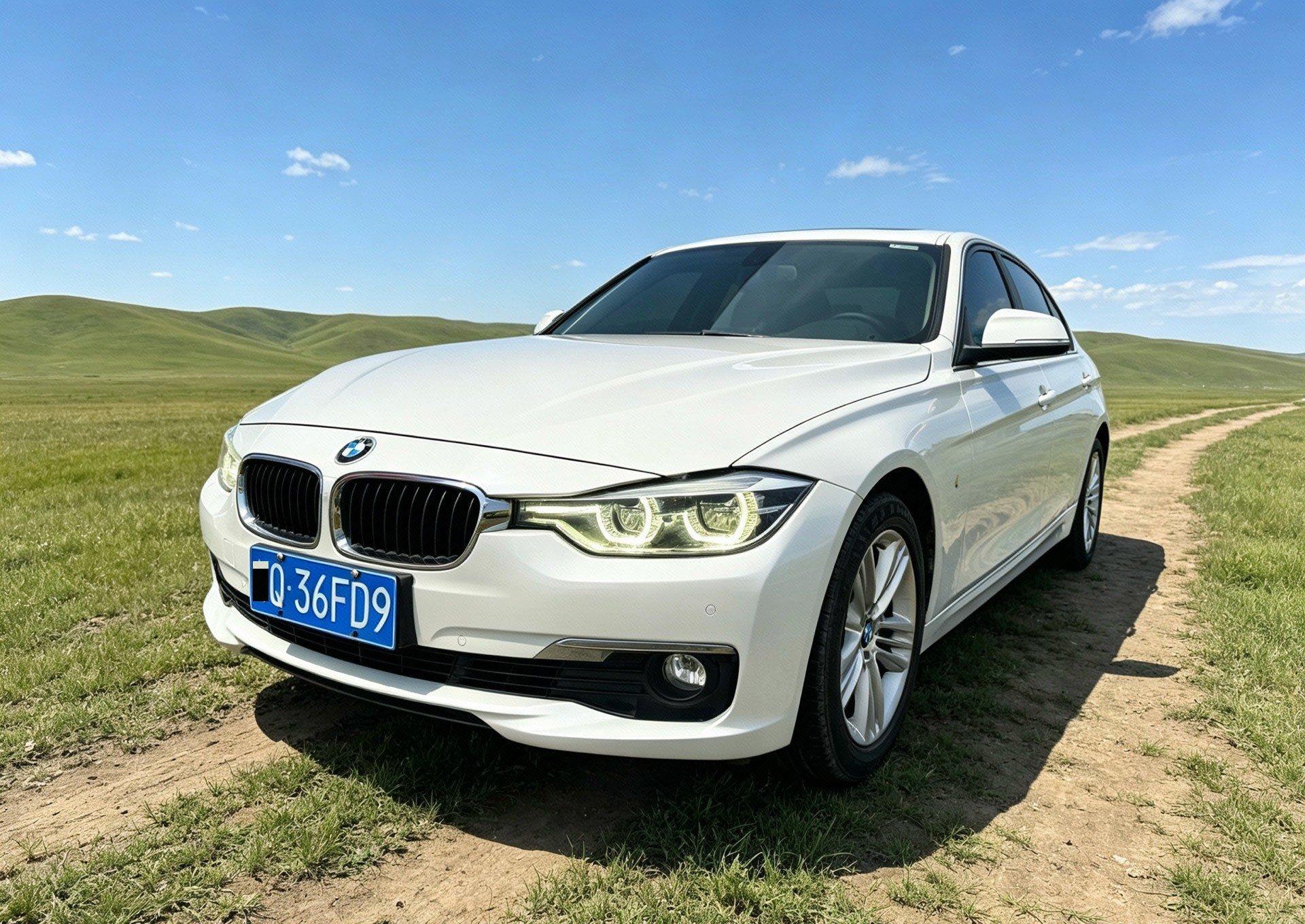 BMW 3 Series 2015 car image 