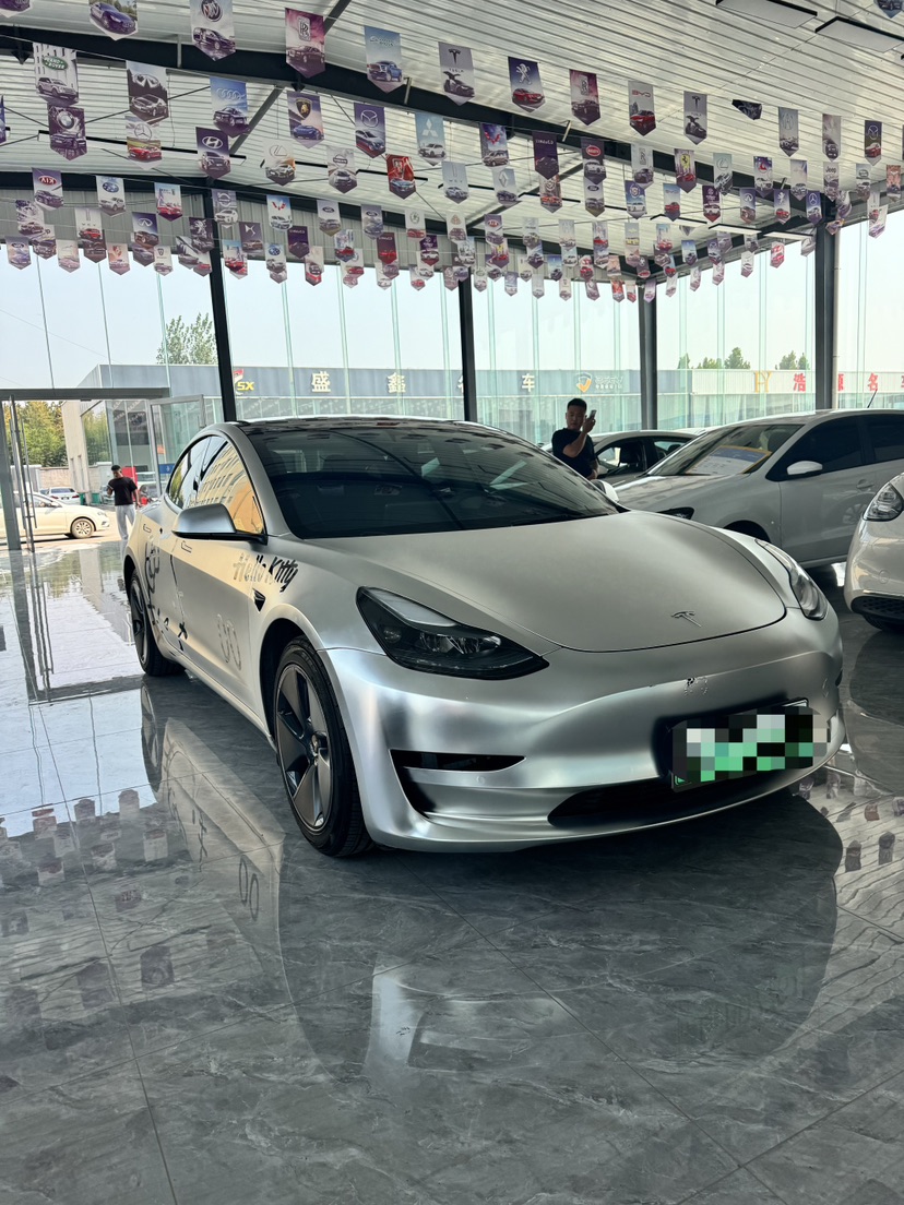 Tesla Model 3 2021 car image #3