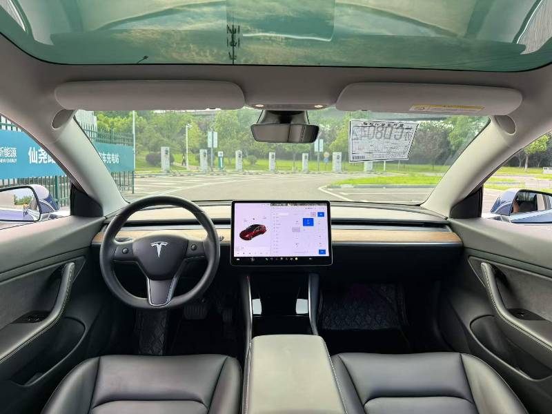 Tesla Model 3 2020 car image #5