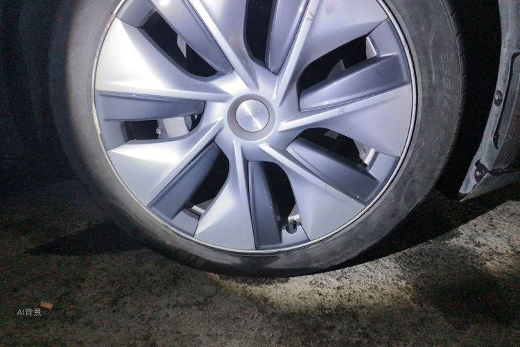 Tesla Model Y 2022 car image #9