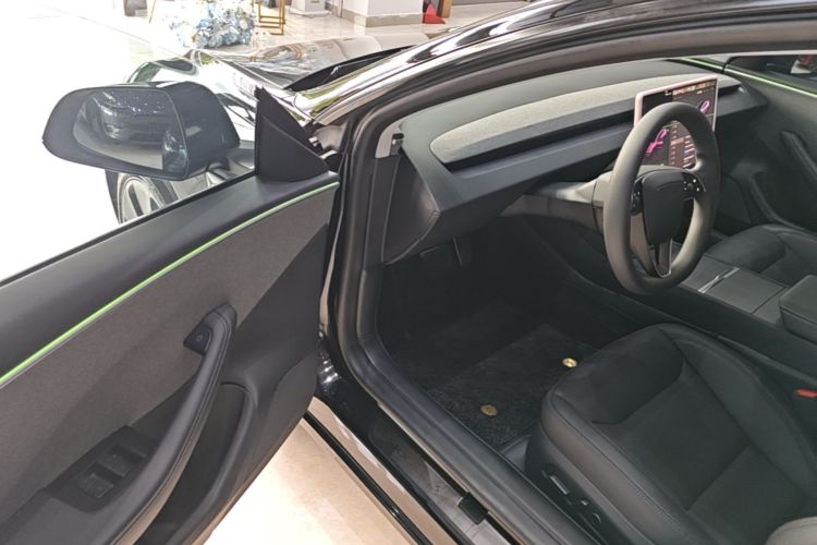 Tesla Model 3 2023 car image #16