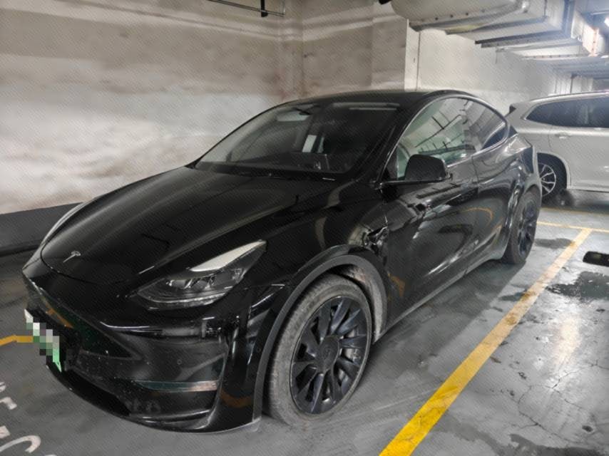 Tesla Model Y 2021 Tesla Model Y 2021 car image