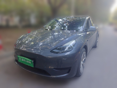 Tesla Model Y 2022 Tesla Model Y 2022 car image