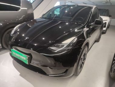 Tesla Model Y 2022 Tesla Model Y 2022 car image