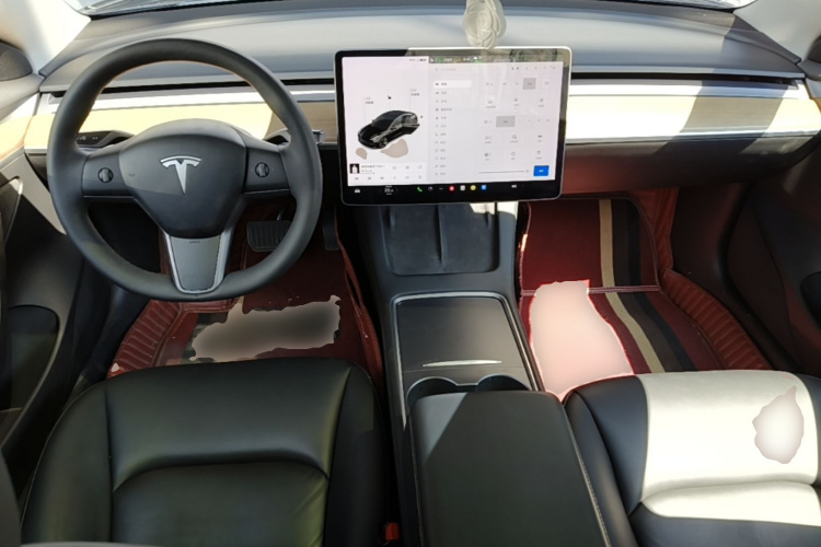 Tesla Model 3 2021 car image #10
