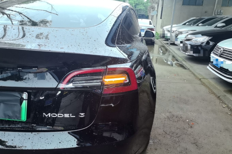 Tesla Model 3 2021 immagine di auto #8
