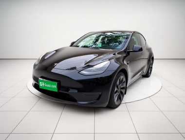 Tesla Model Y 2022 Tesla Model Y 2022 car image