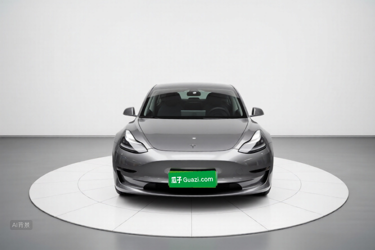 Tesla Model 3 2020 #3 Tesla Model 3 2020 car image #3