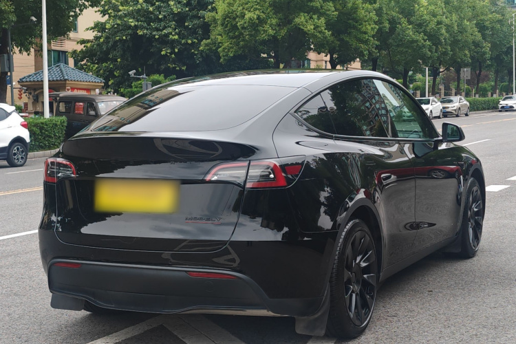 Tesla Model Y 2023 #8 Tesla Model Y 2023 car image #8
