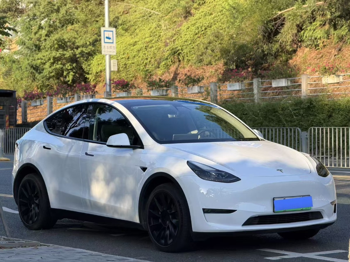 Tesla Model Y 2023 #3 Tesla Model Y 2023 imagem de carro #3