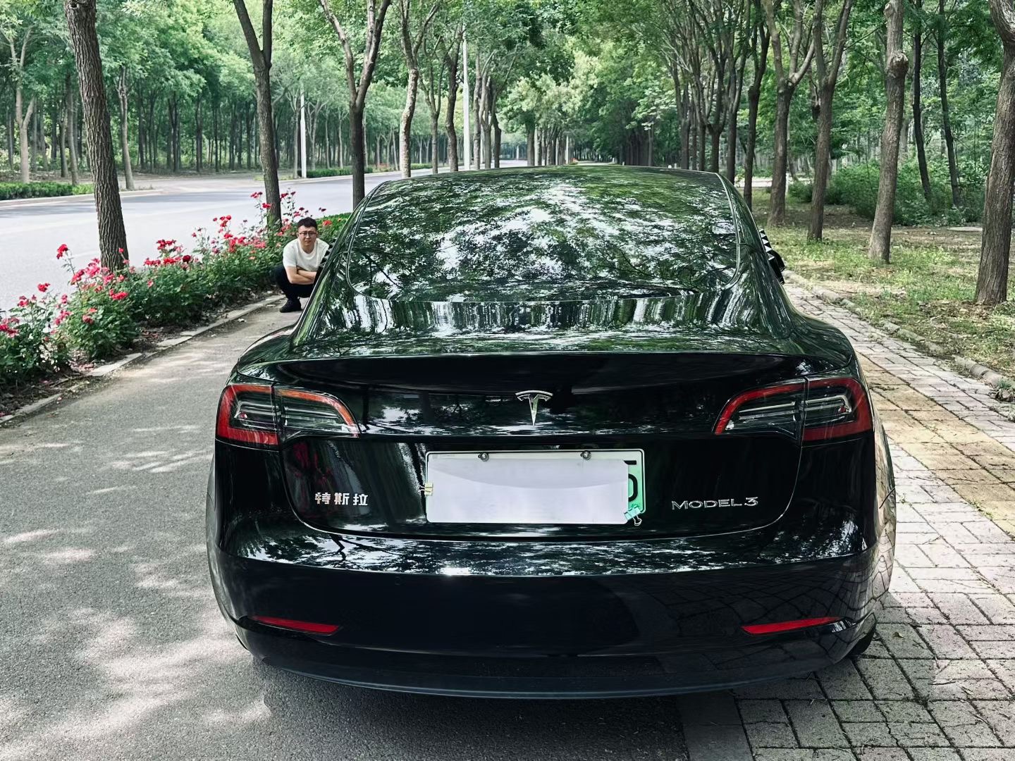 Tesla Model 3 2023 #5 Tesla Model 3 2023 car image #5