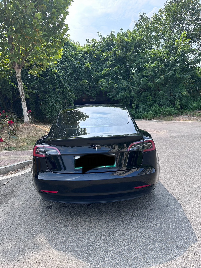 Tesla Model 3 2021 car image #8