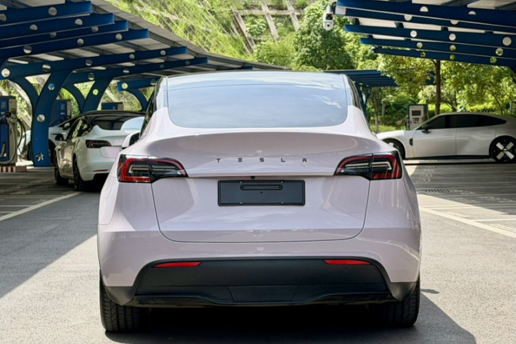 Tesla Model Y 2022 car image #10