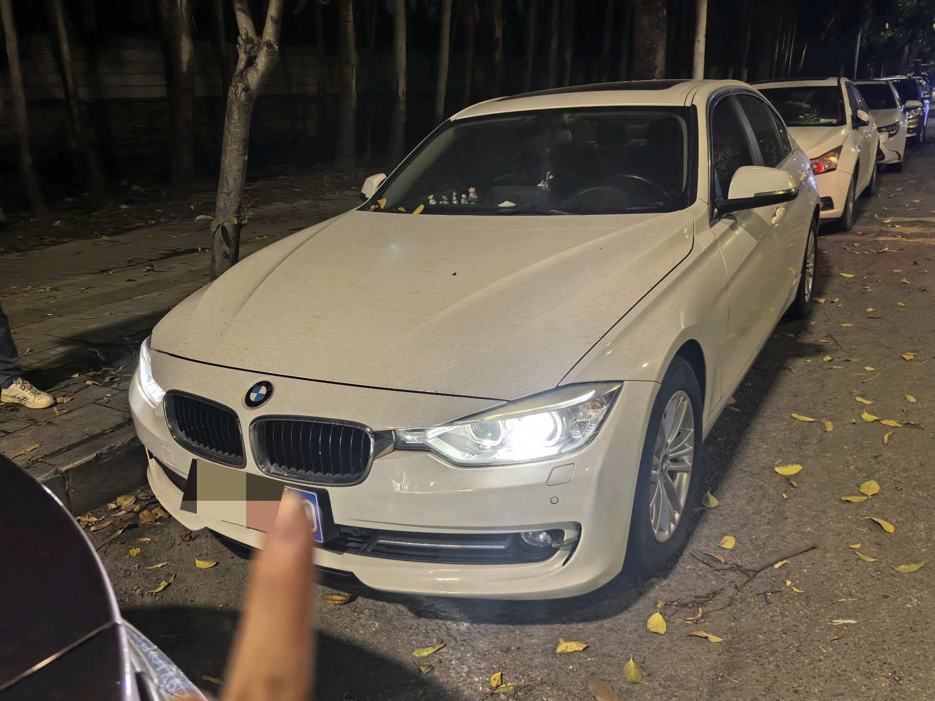 BMW 3 Series 2013 BMW 3 Series 2013 car image