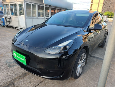 Tesla Model Y 2022 Tesla Model Y 2022 car image