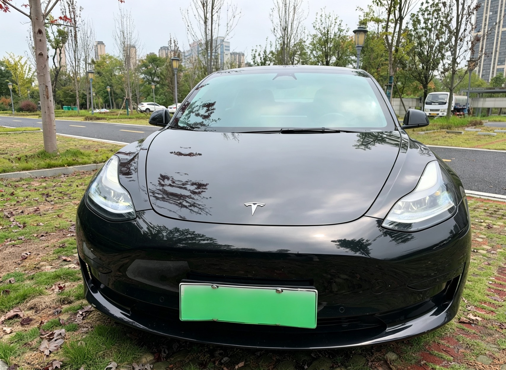 Tesla Model 3 2022 car image #2