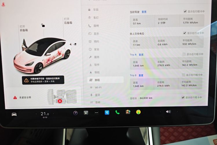 Tesla Model 3 2020 car image #12