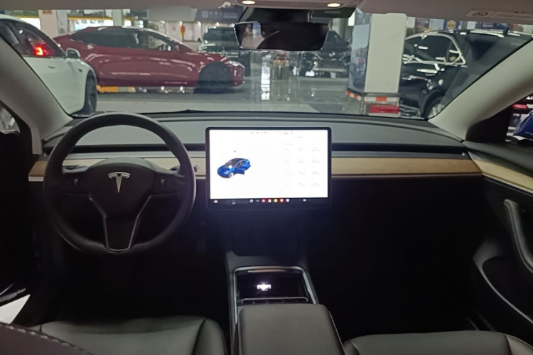 Tesla Model 3 2021 car image #10