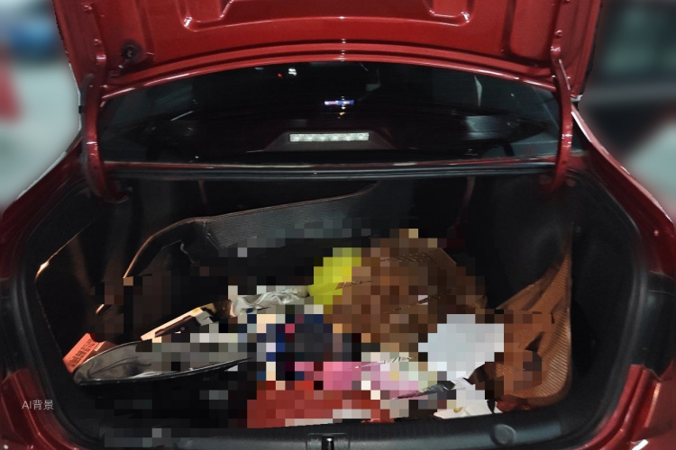 Volkswagen Lavida 2018 immagine di auto #21