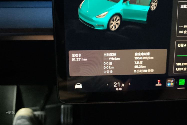Tesla Model Y 2021 #14 Tesla Model Y 2021 car image #14