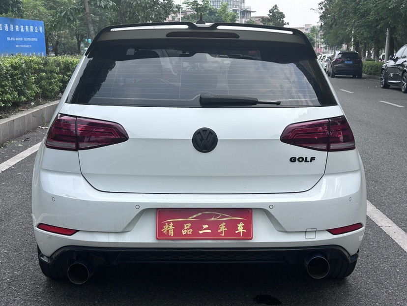 Volkswagen Golf 2020 car image #8