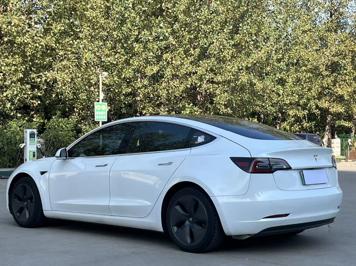 Tesla Model 3 2020 #9 Tesla Model 3 2020 car image #9