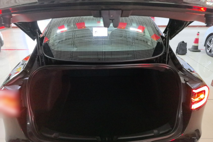 Tesla Model 3 2020 #21 Tesla Model 3 2020 car image #21