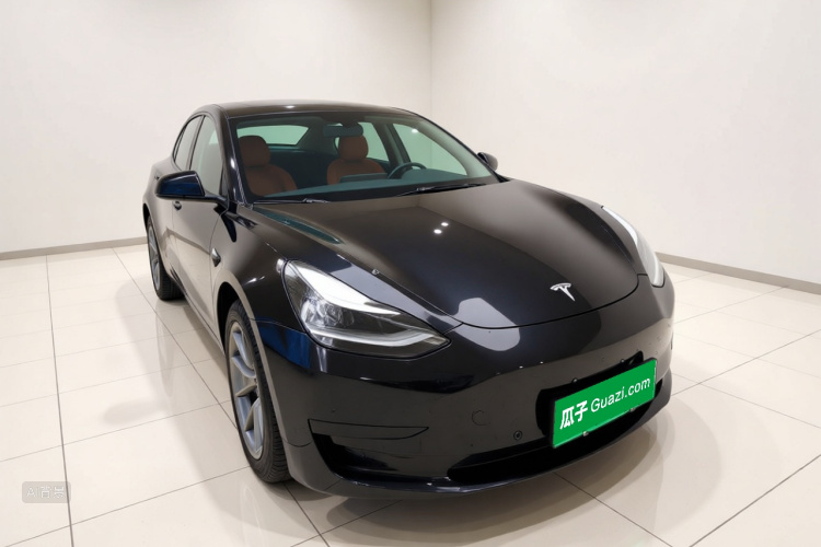 Tesla Model 3 2021 #4 Tesla Model 3 2021 car image #4