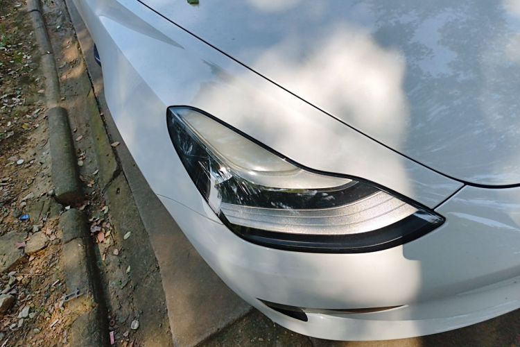 Tesla Model 3 2020 #8 Tesla Model 3 2020 car image #8