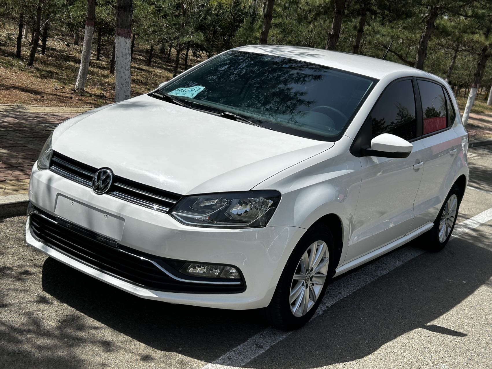 Volkswagen Polo 2015 Volkswagen Polo 2015 car image