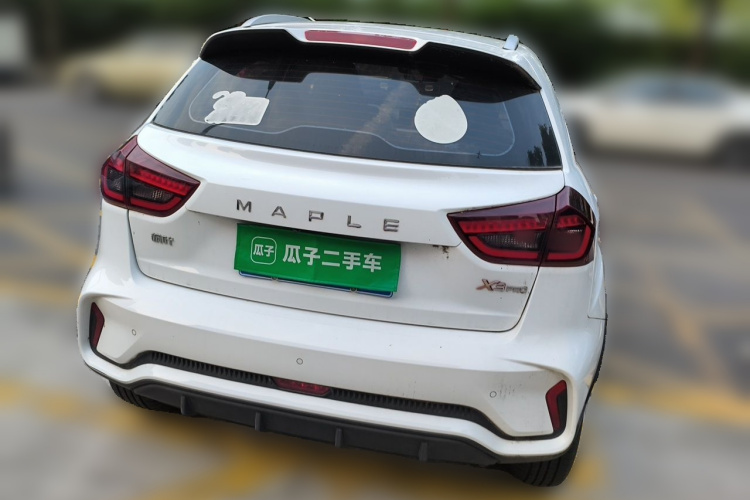 Livan X3 PRO 2023 car image #6