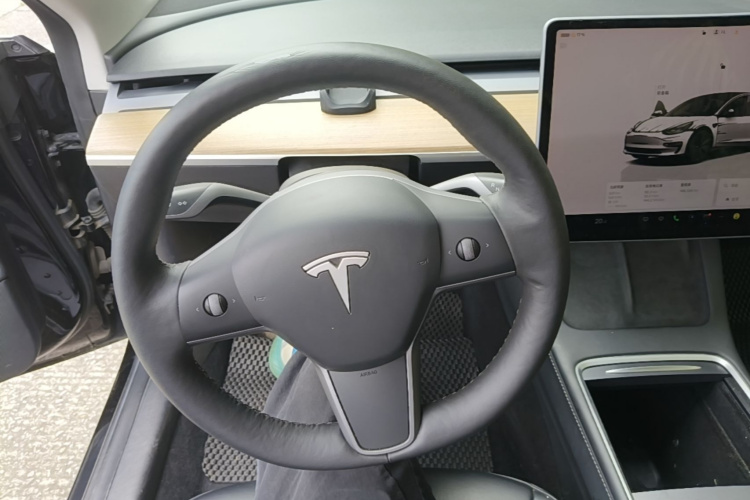 Tesla Model 3 2022 car image #11