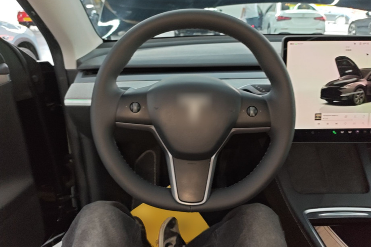 Tesla Model Y 2024 car image #11