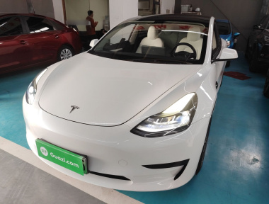 Tesla Model 3 2021 car image 