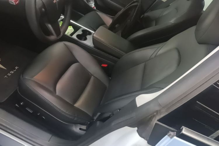 Tesla Model 3 2021 immagine di auto #15