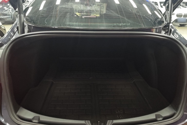 Tesla Model 3 2021 #19 Tesla Model 3 2021 immagine di auto #19