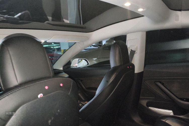 Tesla Model 3 2020 #20 Tesla Model 3 2020 car image #20
