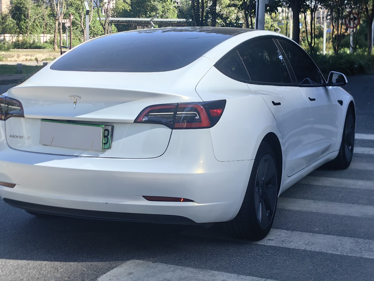 Tesla Model 3 2021 #4 Tesla Model 3 2021 car image #4