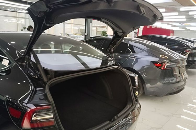 Tesla Model 3 2021 #21 Tesla Model 3 2021 imagen de coche #21
