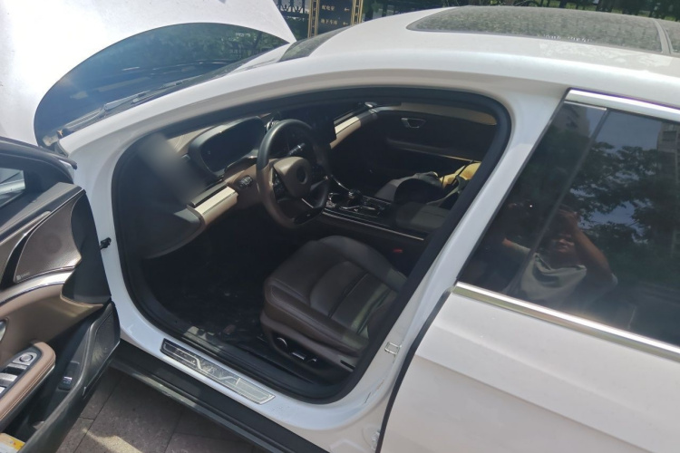 BYD Han 2023 car image #13