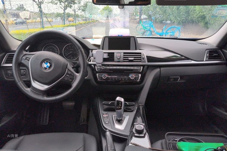 BMW 3 Series 2016 car image #11