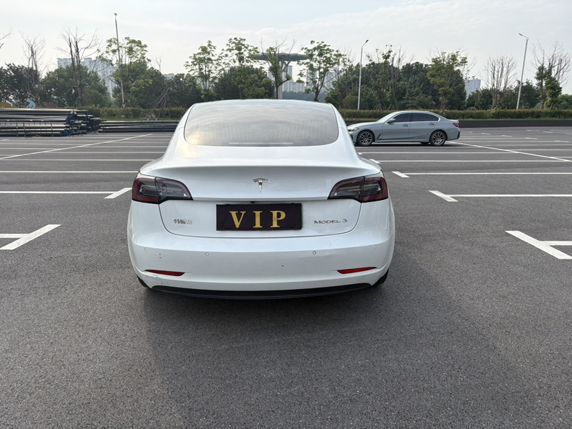 Tesla Model 3 2020 car image #3