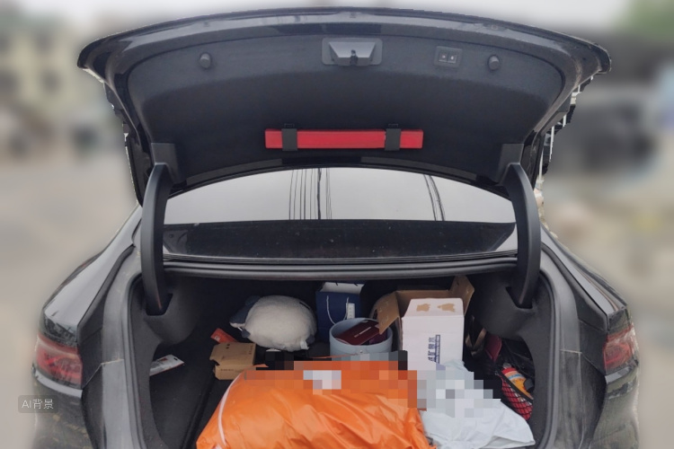 BYD Han 2023 imagen de coche #21