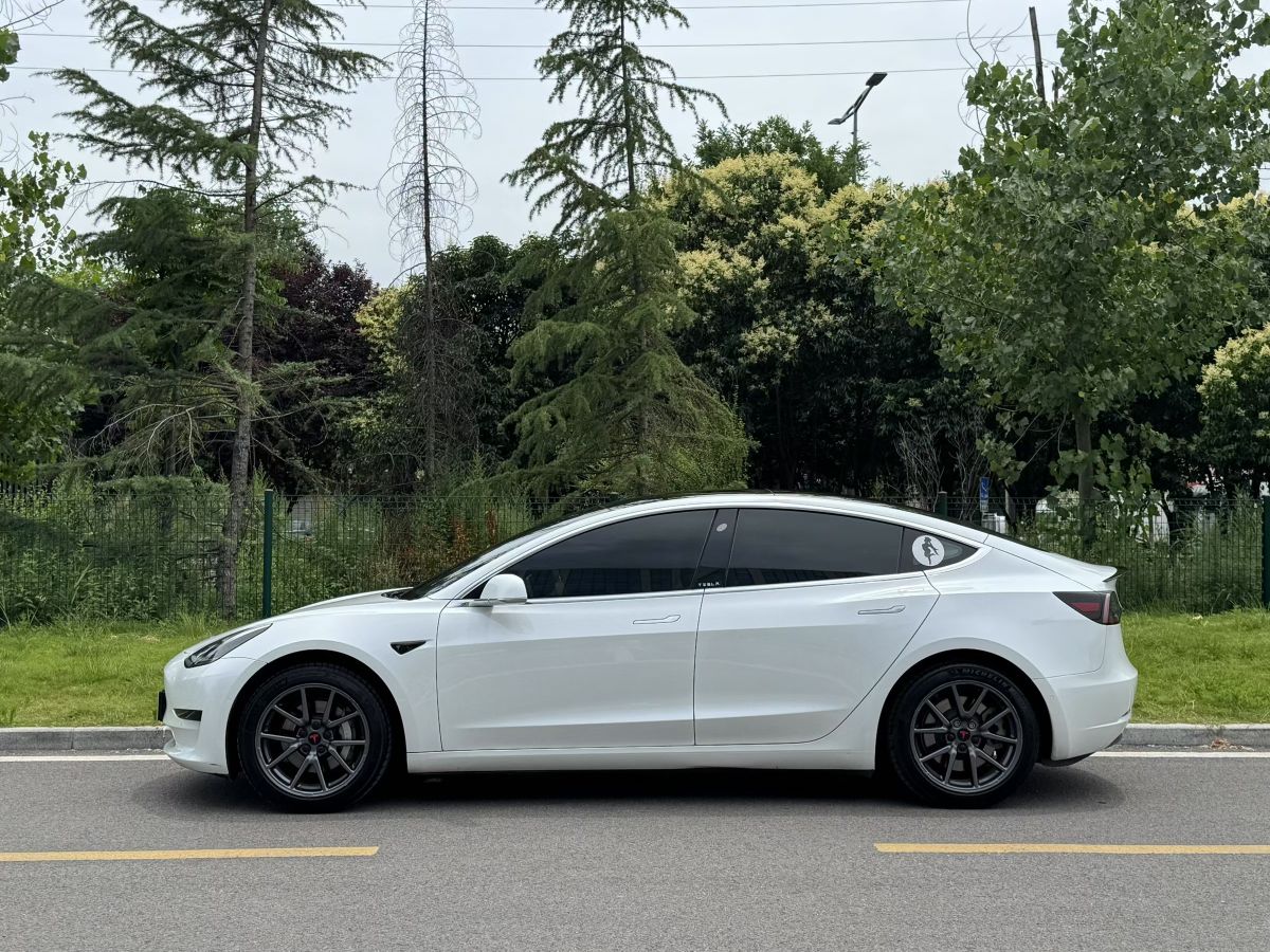 Tesla Model 3 2020 #2 Tesla Model 3 2020 car image #2