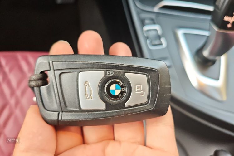 BMW 3 Series 2017 car image #10