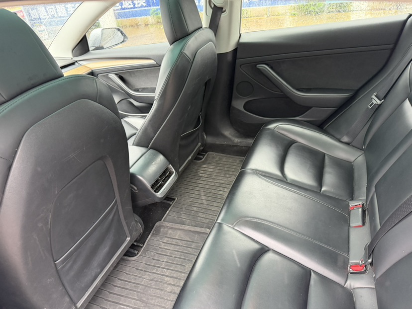 Tesla Model 3 2021 car image #7