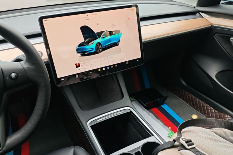 Tesla Model 3 2022 #13 Tesla Model 3 2022 صورة سيارة #13
