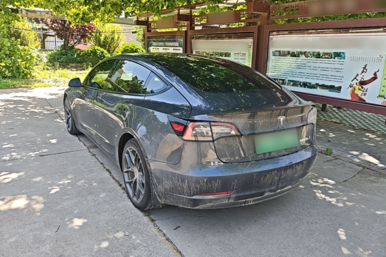 Tesla Model 3 2021 #5 Tesla Model 3 2021 car image #5