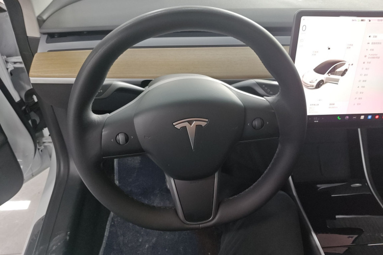 Tesla Model 3 2020 #11 Tesla Model 3 2020 car image #11